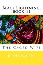 Black Lightning, Book III: The Caged Wife