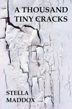 A Thousand Tiny Cracks