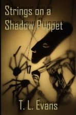 Strings on a Shadow Puppet