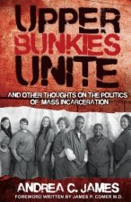 Upper Bunkies Unite: And Other Thoughts On the Politics of Mass Incarceration