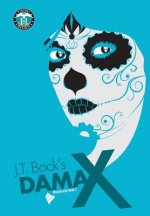 Dama X