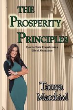 The Prosperity Principles: Secrets to developing and maintaining generational wealth