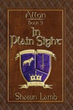 Allon Book 9 - In Plain Sight
