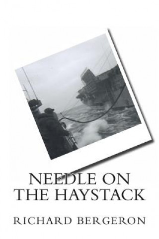 Needle on the Haystack