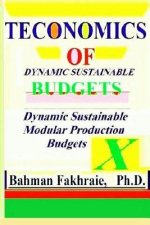 Teconomics of Dynamic Sustainable Budgets: Teconomic of Dynamic Sustainable Strategic Budgeting: