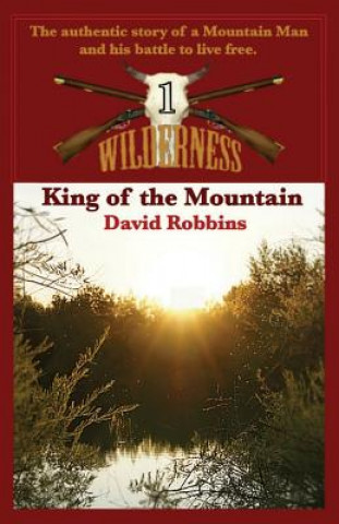 King of the Mountain (Wilderness #1)