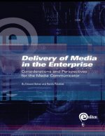 Delivery of Media in the Enterprise: Considerations and Perspectives for the Media Communicator