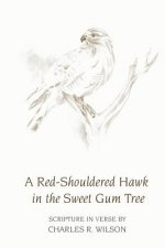 A Red-Shouldered Hawk In The Sweet Gum Tree: Scripture in Verse