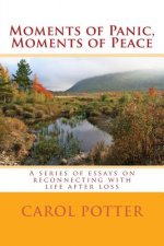 Moments of Panic, Moments of Peace: A series of essays on reconnecting with life after loss