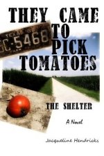 They Came to Pick Tomatoes, The Shelter