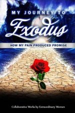 My Journey to Exodus: How My Pain Produced Promise