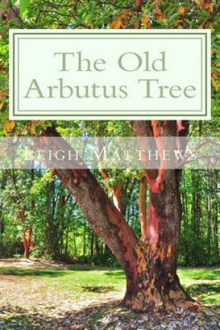 Old Arbutus Tree