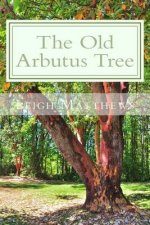Old Arbutus Tree