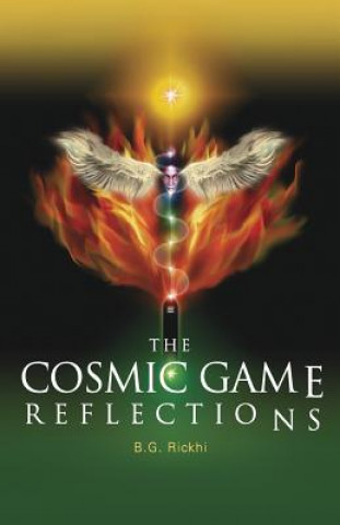 The Cosmic Game: Reflections