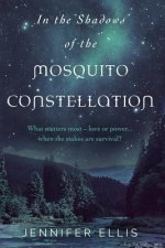 In the Shadows of the Mosquito Constellation