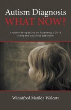 Autism Diagnosis! What Now?: Another Perspective of Parenting a child with ADD/PDD