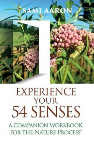 Experience Your 54 Senses