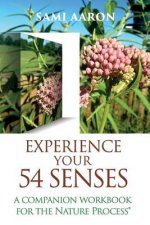 Experience Your 54 Senses