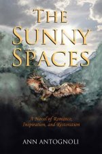 The Sunny Spaces: A Novel of Romance, Inspiration, and Restoration