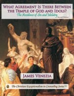 What Agreement Is There Between the Temple of God and Idols?: The Accidence of Sin and Idolatry