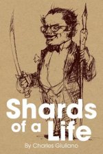 Shards of a Life