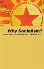 Why Socialism?