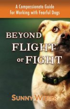 Beyond Flight or Fight