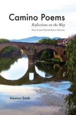 Camino Poems: : Reflections on the Way From St. Jean Pied-de-Port to Finisterre