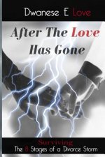 After The Love Has Gone: Surviving the 8 Stages of a Divorce Storm