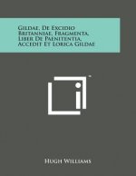 Gildae, de Excidio Britanniae, Fragmenta, Liber de Paenitentia, Accedit Et Lorica Gildae