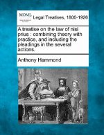 A Treatise on the Law of Nisi Prius: Combining Theory with Practice, and Including the Pleadings in the Several Actions.