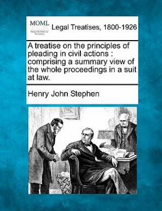 A Treatise on the Principles of Pleading in Civil Actions: Comprising a Summary View of the Whole Proceedings in a Suit at Law.