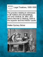 The Practice Relating to Witnesses: In All Matters and Proceedings, Civil and Criminal, AT, After, and Before the Trial or Hearing, Both in the Superi