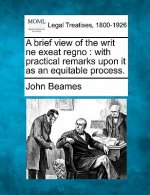 A Brief View of the Writ Ne Exeat Regno: With Practical Remarks Upon It as an Equitable Process.
