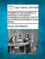 A Treatise on the Principles of Pleading in Civil Actions: Comprising a Summary View of the Whole Proceedings in a Suit at Law.