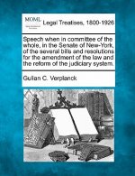 Speech When in Committee of the Whole, in the Senate of New-York, of the Several Bills and Resolutions for the Amendment of the Law and the Reform of