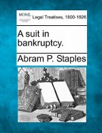A Suit in Bankruptcy.