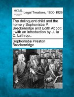 The Delinquent Child and the Home y Sophonisba P. Breckenridge and Edith Abbott; With an Introduction by Julia C. Lathrop..
