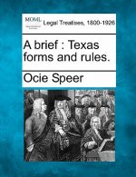 A Brief: Texas Forms and Rules.
