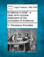 Evidence in Brief: A Clear and Concise Statement of the Principles of Evidence.