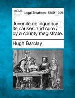 Juvenile Delinquency: Its Causes and Cure / By a County Magistrate.