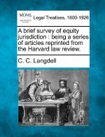 A Brief Survey of Equity Jurisdiction: Being a Series of Articles Reprinted from the Harvard Law Review.