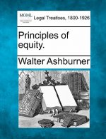 Principles of equity.