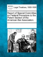 Report of Special Committee on Federal Procedure to the Patent Section of the American Bar Association.