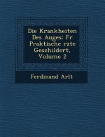 Die Krankheiten Des Auges: Fur Praktische Rzte Geschildert, Volume 2