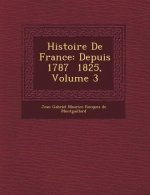 Histoire de France: Depuis 1787 1825, Volume 3