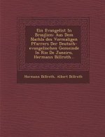 Ein Evangelist in Brasilien: Aus Dem Nachla Des Vormaligen Pfarrers Der Deutsch-Evangelischen Gemeinde in Rio de Janeiro, Hermann Billroth...