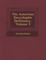 The American Encyclop DIC Dictionary, Volume 3