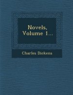 Novels, Volume 1...