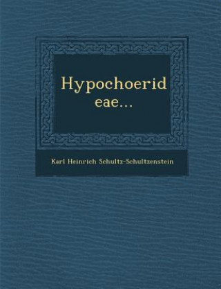 Hypochoerideae...